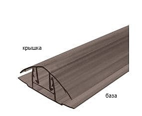 Профиль Полискреп крышка L=6м бронза