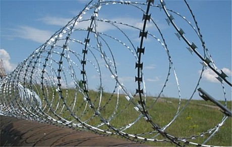 Егоза